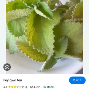 Fey gwo ten Product - Details Not Provided - Visit for More Information