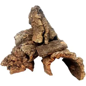 Cork Bark 1lb Assorted for Orchids Airplants Reptiles and Terrariums