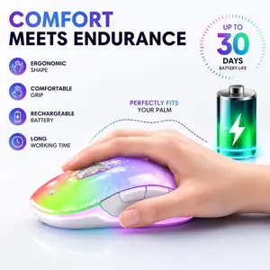 halokin 2.4G LED Wireless Gaming &DIY Office Mouse for Women, Rechargeable Ergonomic Design with Detachable Cover, 1200 DPI Portable Optical Mouse with USB Receiver for Laptop, PC, Desktop and MacBook,