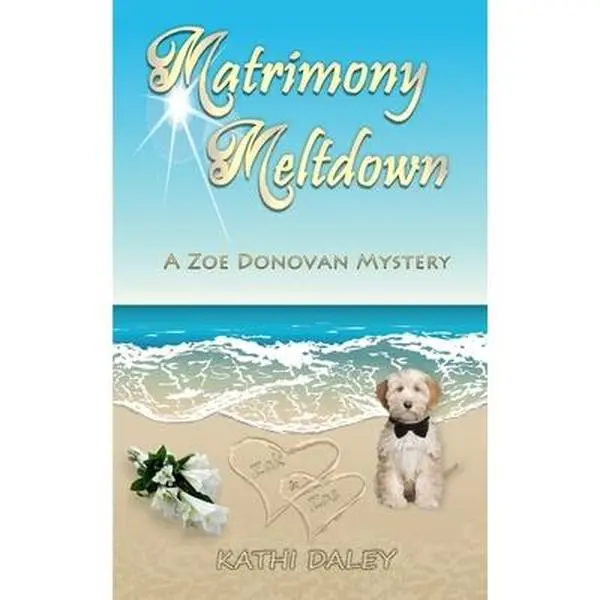 USED Book - Matrimony Meltdown by Daley, Kathi (Paperback) - english