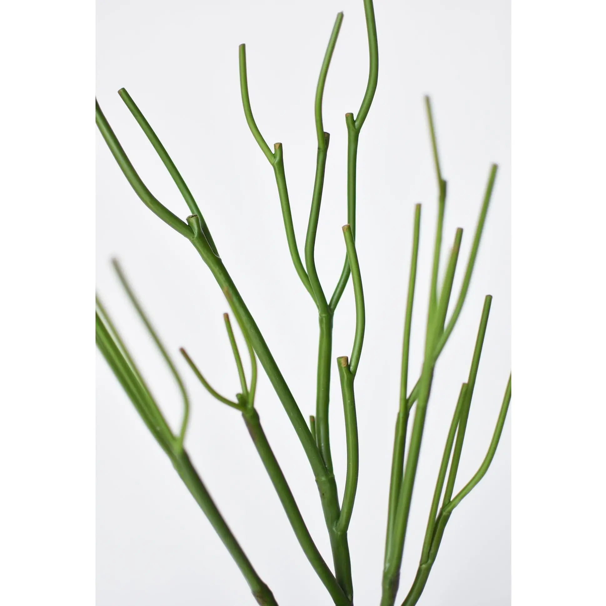 23" Faux Green Pencil Cactus Succulent Stem