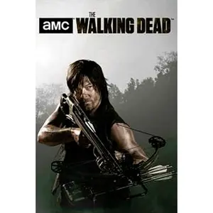 Walking Dead Daryl 2 Poster