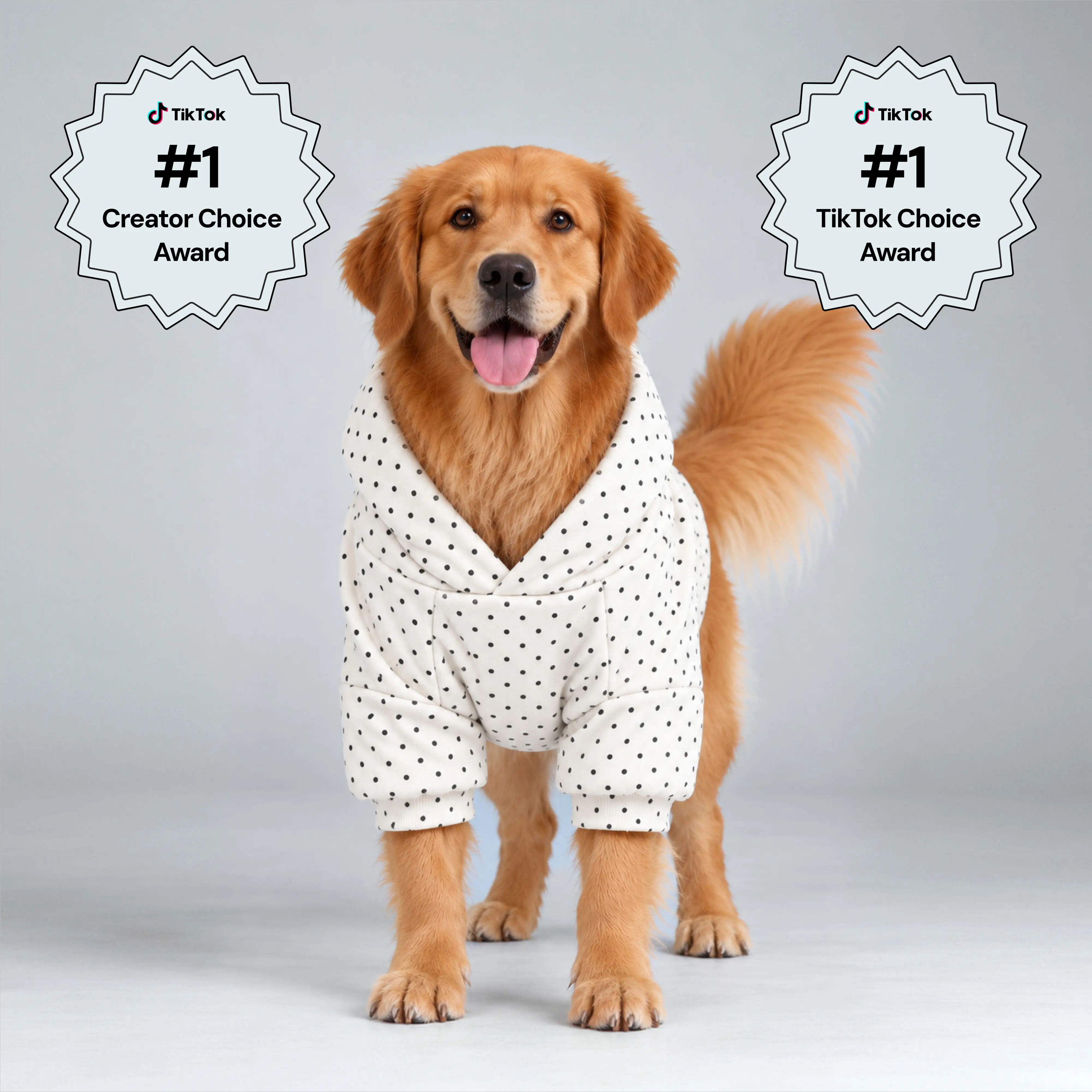 Comfrt Paws | Minimalist Hoodie | Soft Pet Matching Hoodie Puppy