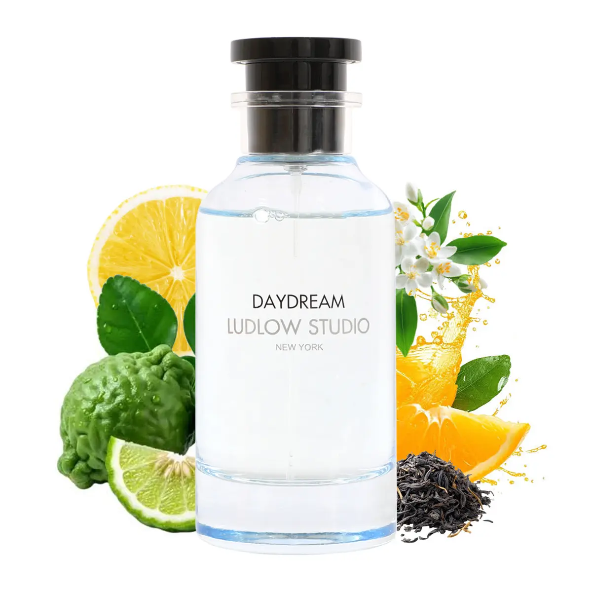 DayDream LUDLOW Studio New York Pour Femme Eau De Parfum 100Ml/3.4fl.oz.