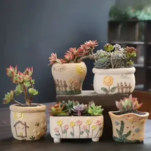 Tiny Plant Haven