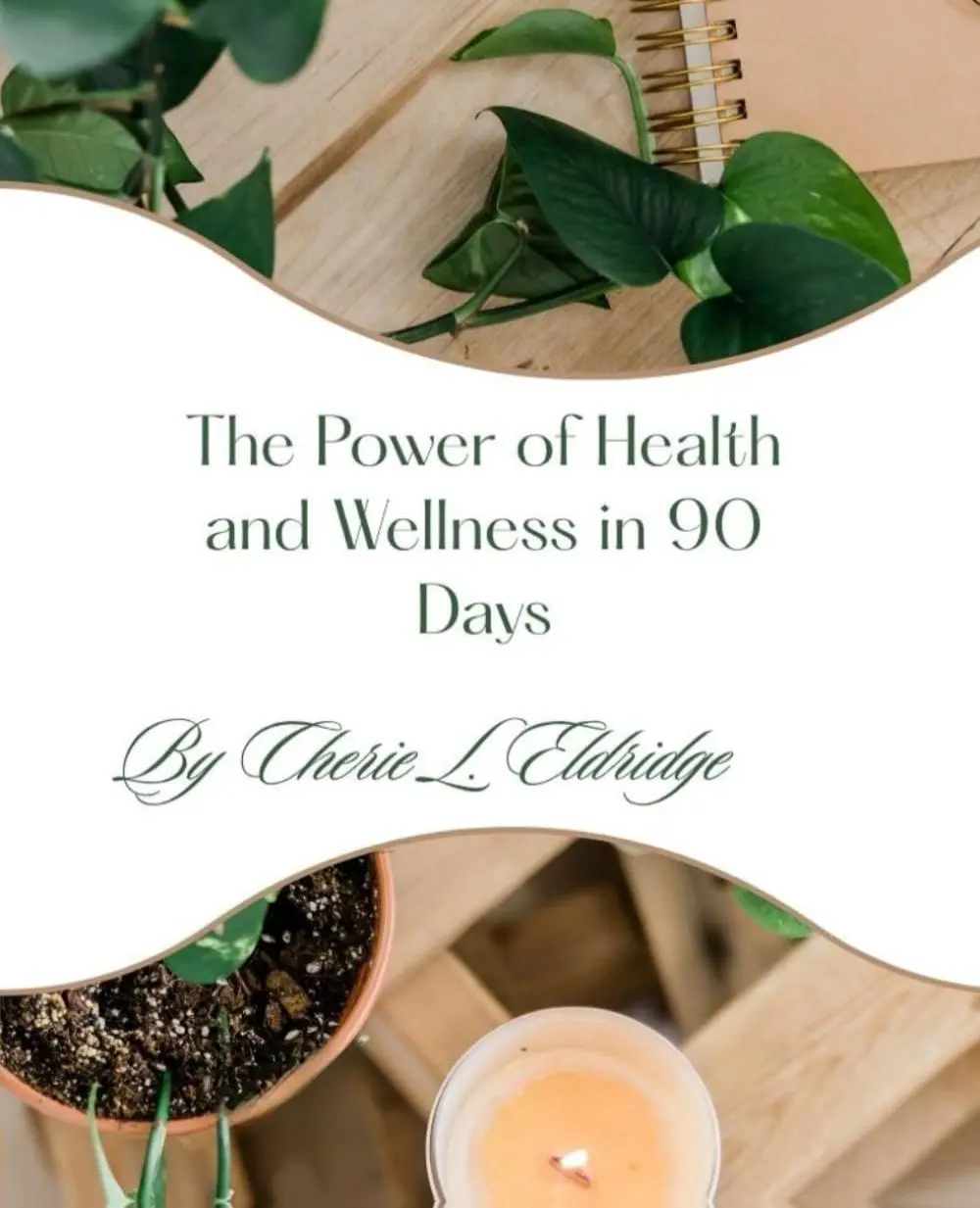 The Power of Health and Wellness in 90 Days Book 978-1960068057 Health & Wellness Guide