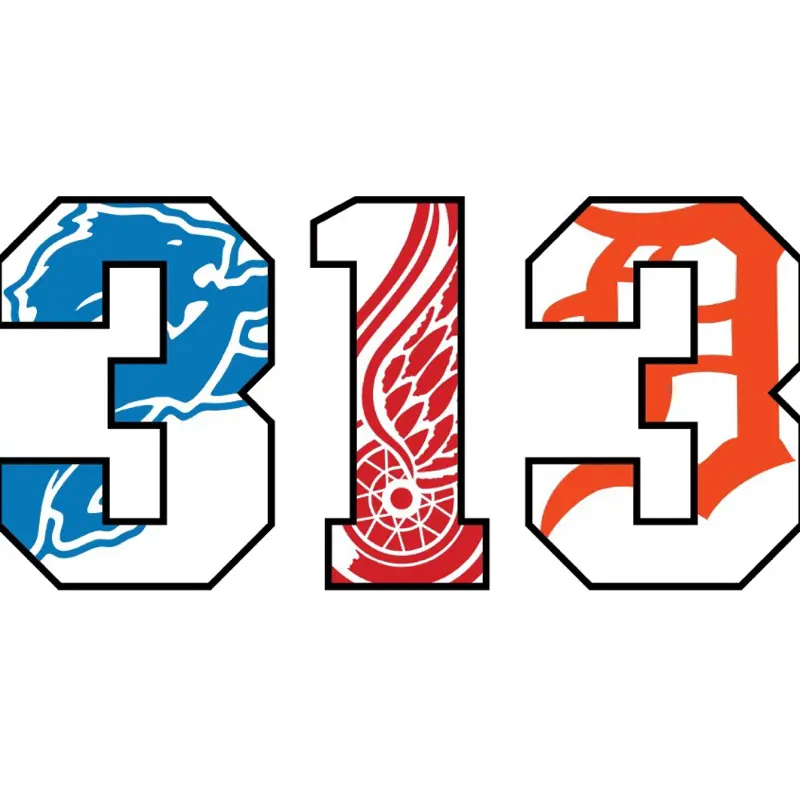 Detroit Colorful 313 Lions, Red Wings & Tigers DTF Transfer with Outline of Detroit, Includes Blue, Orange & Red Design, High-Quality Transfer Material