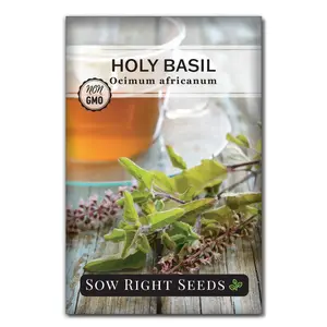 Holy Basil Seeds