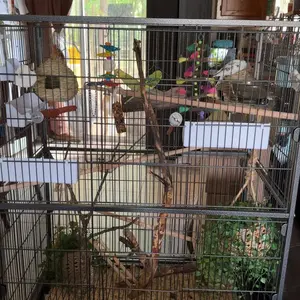 【Valentine Gift】Yaheetech 35“/40"/52″/53.5"/61"/63"/64" H Large Parrot Cage Rolling Metal Bird Cage for Lovebird Cockatoo Conure with 3 Perches & 4 Feeders & Extra Shelf Portable Moving