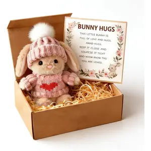 Mini Bunny Hug Cute Easter Gift with Card, 2026 New Soft Plush Mini Bunny Hugs in Box, Easter Basket Bunny Stuffer MenSmall Thoughtful Gift for & (pink)