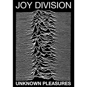 Joy Division- Unknown Pleasures Poster