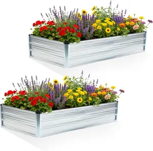 Metal Raised Garden Bed 2 Pack, 6x3x1 ft Galvanized Outdoor Planter Boxes, Open Bottom Raised Beds for Vegetables, Flowers & Herbs,Grey Silver