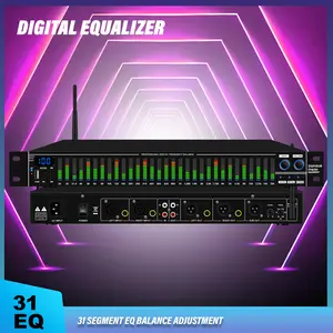 Chinese31-EQ digital audio equalizer with 10 adjustable frequency bands, USB powered noise reduction and feedback suppressor, suitable for stage performances, karaoke, and live mixing