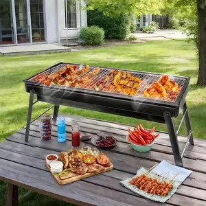 Portable Charcoal Grill, Foldable Design Charcoal Grill with Carrying Bag, Outdoor Barbecue Grill for Camping Backyard BBQ