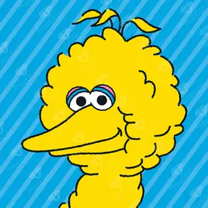 Big Bird Portrait Diamond Painting Kit