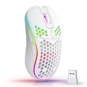 2.4G Wireless Gaming Mouse RGB Lighting Mouse  with Adjustable DPI Ergonomic Honeycomb Design for Desktop Laptop