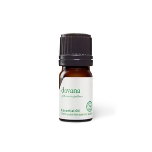 Davana Essential Oil - Therapeutic Treatment for Wellness Aromatherapy Solution