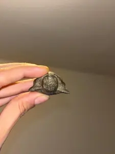 Pyrite Sea Turtle Carving