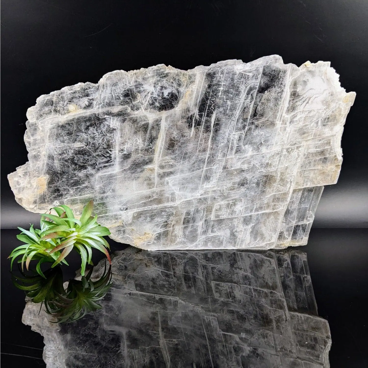 Selenite 13" Glass Specimen #LV6819