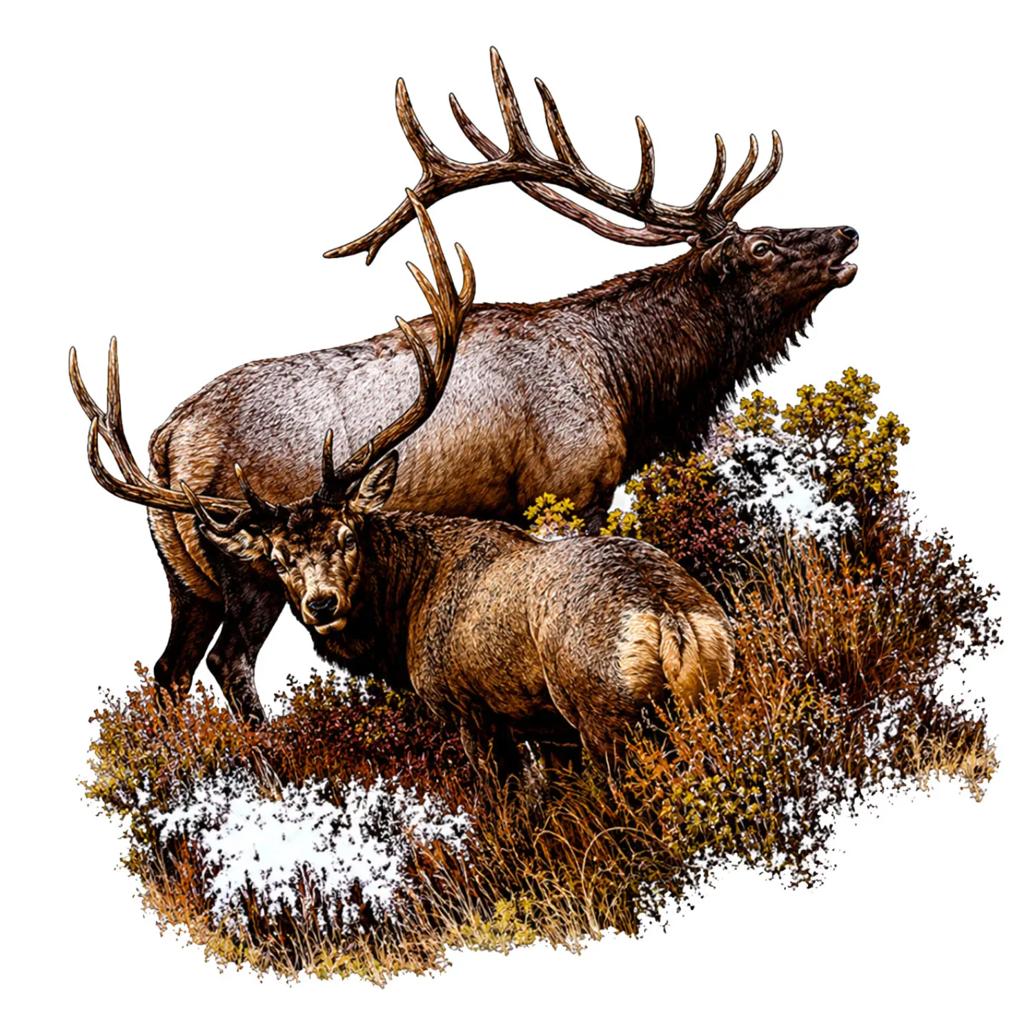 Wild Elk Sticker, Majestic Bull Elk Outdoor Decal, Rustic Mountain Wildlife Design for Laptop Tumbler Cooler Car Window, Nature & Hunting Lover Gift
