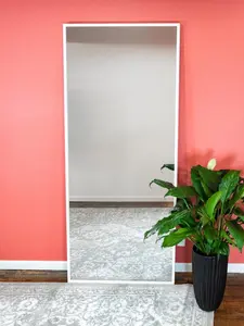 LiteMirror 2ft by 6ft With Wood Frame