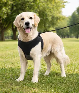 2 in 1 Retractable Leash and Harness for Dogs - L/XL - Magnetic - 36 - 80 pounds