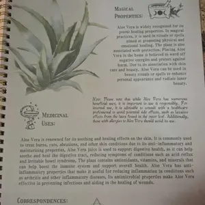 review image 7