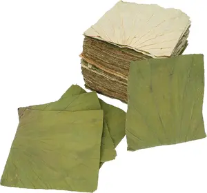 100 PCS 8x8 Inch Natural Organic Dried Lotus Leaves Whole Square Cut Wrapper for Sticky Rice Sushi Dim Sum Lo Mai Gai, Food Wrap Cooking Decoration Party Serving Plates