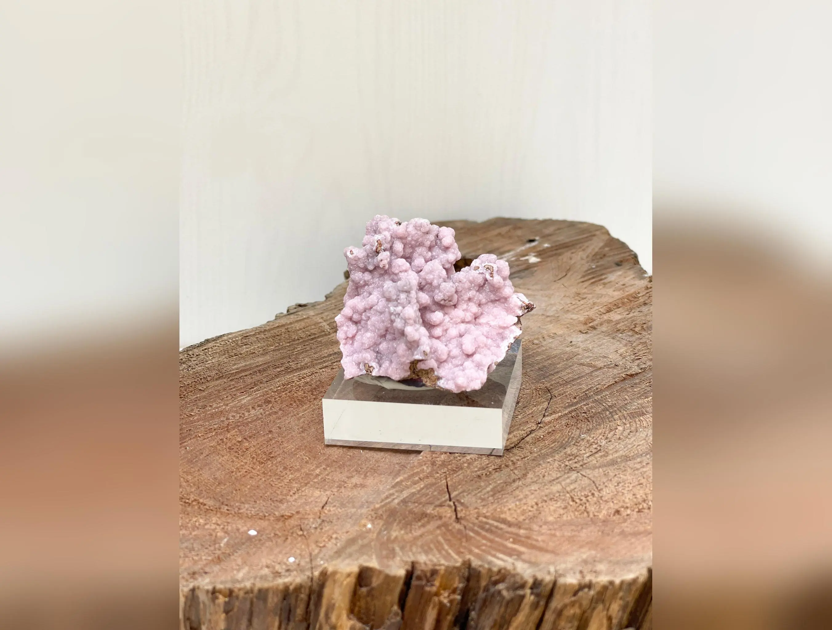 Rhodochrosite | South African Specimen