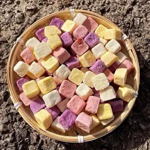 Freeze-Dried Yogurt Mix Fruit 100g/3.5oz - Sữa Chua Sấy Giòn Thằn Hoa