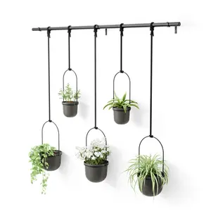 Umbra Triflora Hanging Planters Set of 5 for Indoor & Outdoor Use Customizable Polypropylene Pots for Herbs Succulents & Vines Adjustable Ropes for Versatile Display