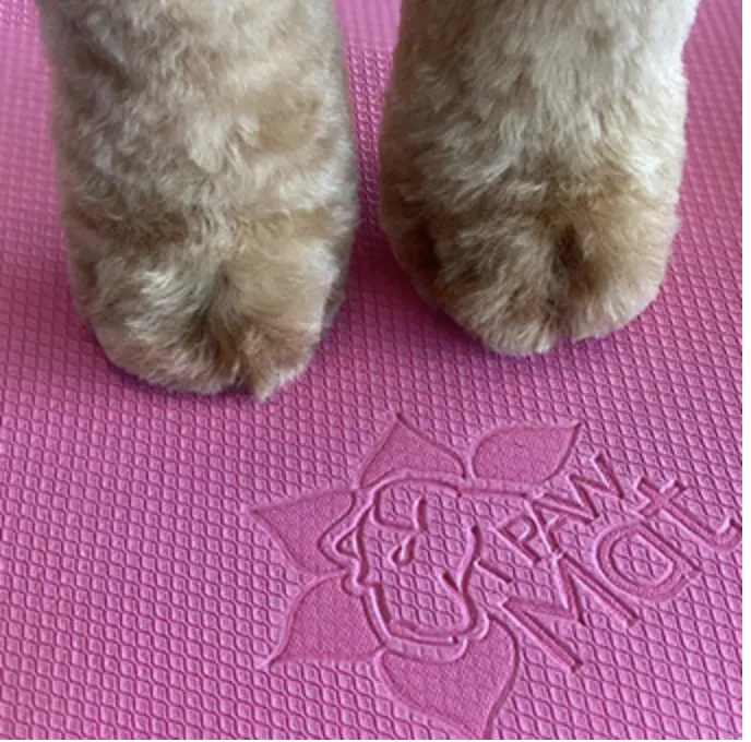 PawMat Anti-Fatigue Anti-Slip Multi Purpose Grooming Mat