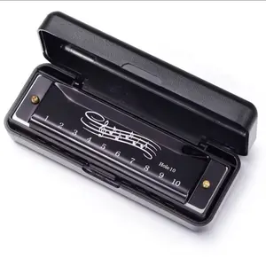 Blues Harmonica 10 Holes 20 Notes in Key C, Perfect for Beginners, Professional Diatonic Harmonica with Adult Case, Musical Instrument