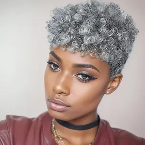 2025 NEW Wholesale Short Mixed Grey Afro Curly Wig Short Hairstyles Short Pixie Cut Wig Synthetic Wigs For Women Short Hair Wigs For Party