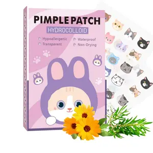 Cute Cat Pattern Pimple Patch, 1 Box Hydrocolloid Acne Cover Patches, Facial Skin Care Accessories for Women & Men