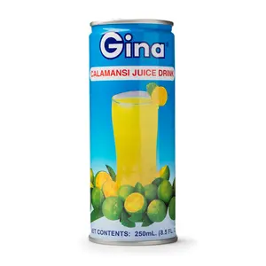 Gina Calamansi Juice Drink 240 ml