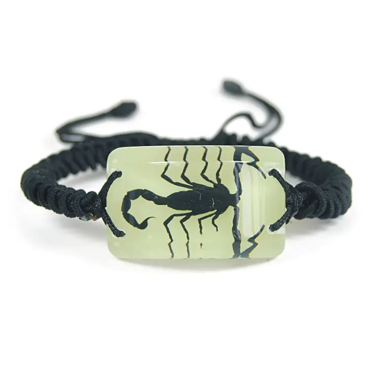 Glow in the Dark Rectangle Shaped Pendant Bracelet with Real Black Scorpion