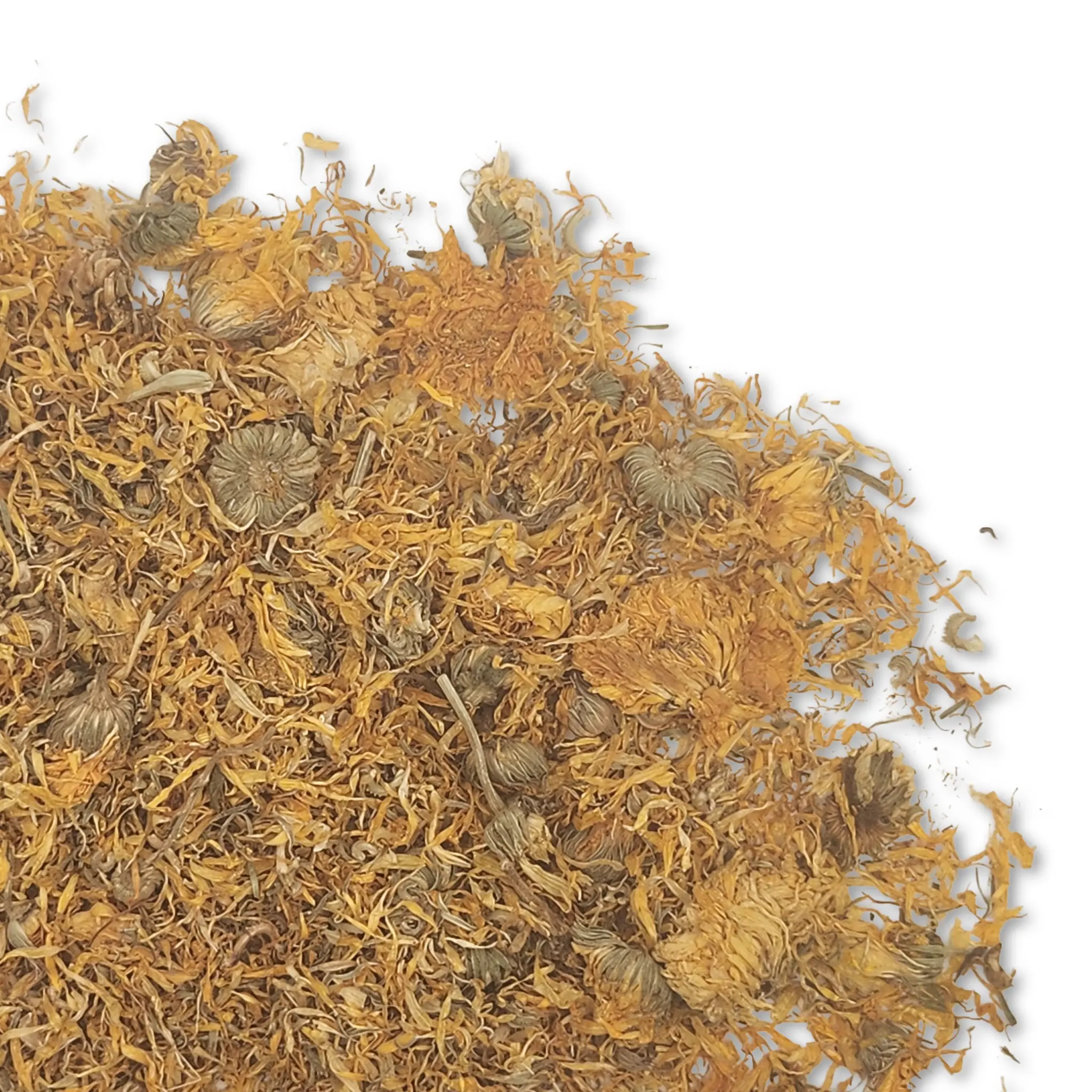 Marigold Flower for Hamsters, Mice, and Gerbils