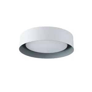 Lynch White and Gray Flush Mount Ceiling Light