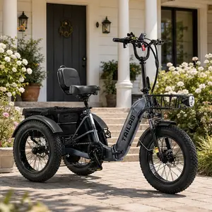 ARCH Electric Tricycle for Adults 500W 48V Folding 3 Wheel E-Bike 20x4.0 Fat Tire Step-Thru Aluminum Frame with Reverse & Large Basket, Multiple Color Options, for Commuting Shopping Cargo, Grey/Red Color Options, Aluminium Alloy Material