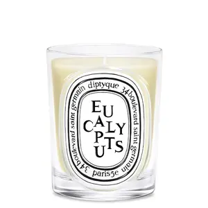 Eucalyptus Candle Eucalyptus Candle