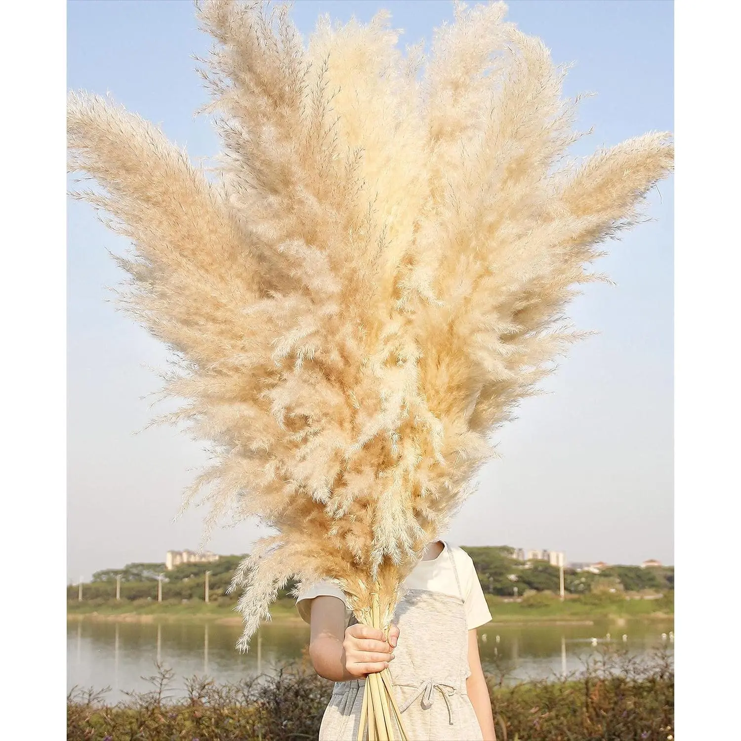 10 Stems 46" inch Dried Pampas Grass Decor Tall, Large Pompas Grass, Boho Neutral Home Decor Bouquet, Fluffy Pampass Grass for Floor Vase Wedding Floral Arrangements Wall Farmhouse Table Decor
