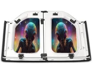 Cosmic Visitor