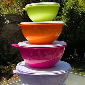 Thatsa Bowl 5pc Set - Vibrant Colors for Kitchen Use - Perfect for Mixing and Serving - Durable and Practical Design