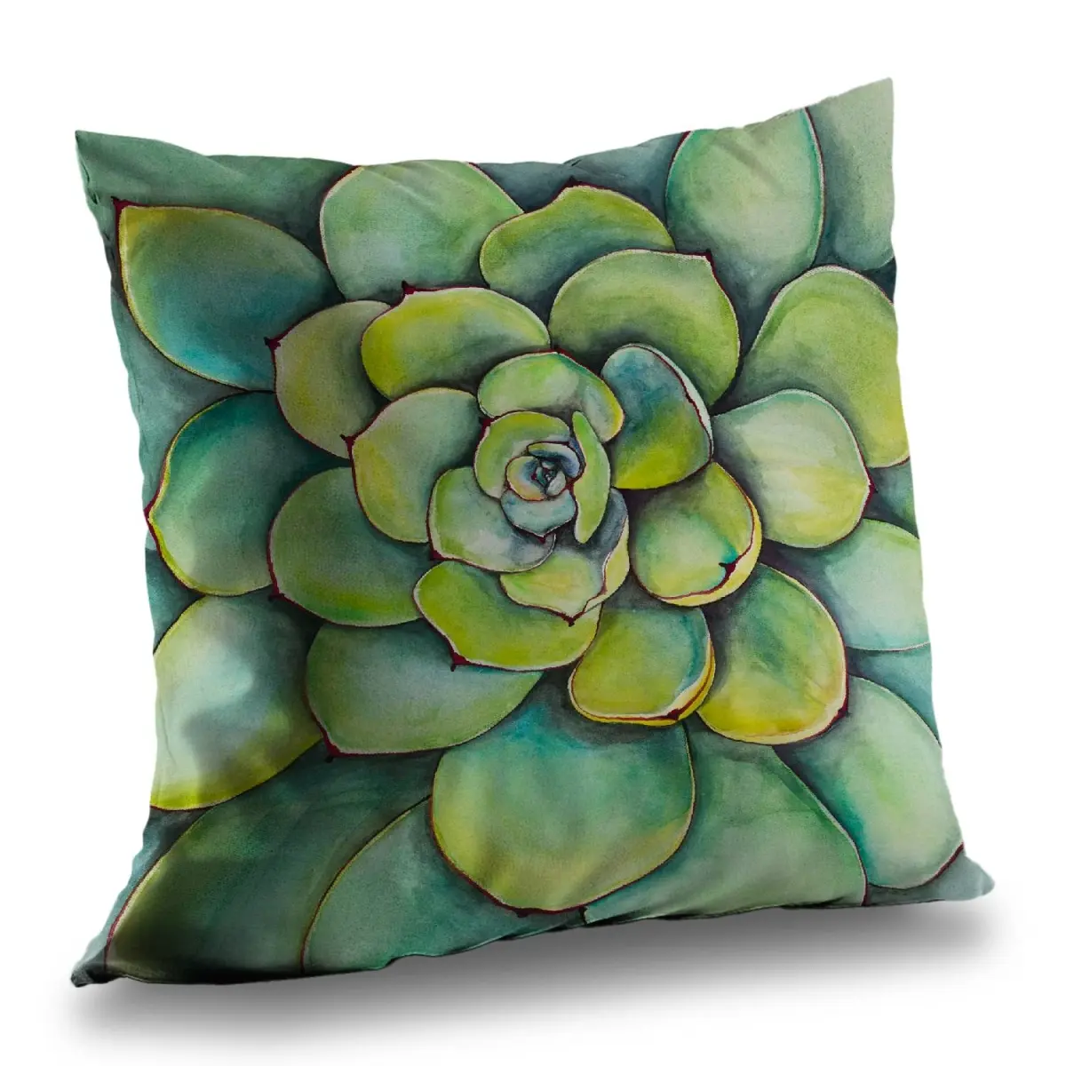 360 stand Twill Weave Watercolor Succulents Throw Pillow, 14x14 in Soft Padded Cushion, Bathroom Textile Soft Furnishing with Botanical Art for Aesthetic Room Decor (C1PT14141OOYVN), Watercolour Standard Pillows, Creative Decorative Cushion, Poly Twill, S