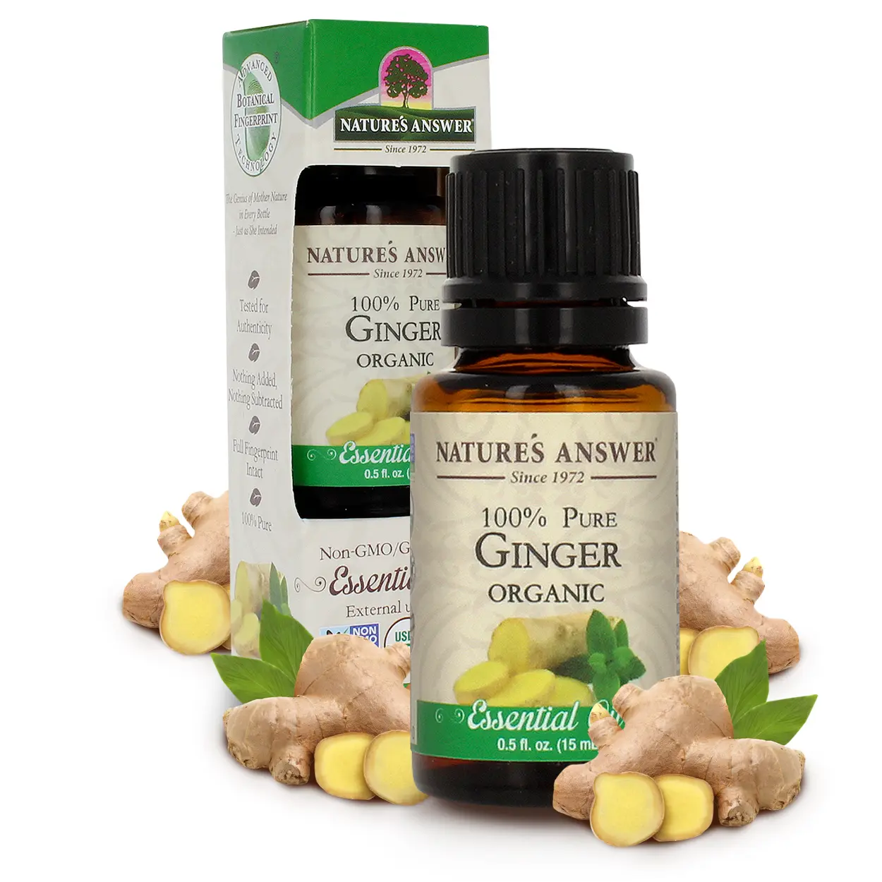 Nature’s Answer USDA Organic Ginger Root Essential Oil, 100% Pure, 0.5 fl oz. (15ml) | Natural Aromatherapy Oil for Diffuser/Humidifier, Steam Distilled | Made in USA