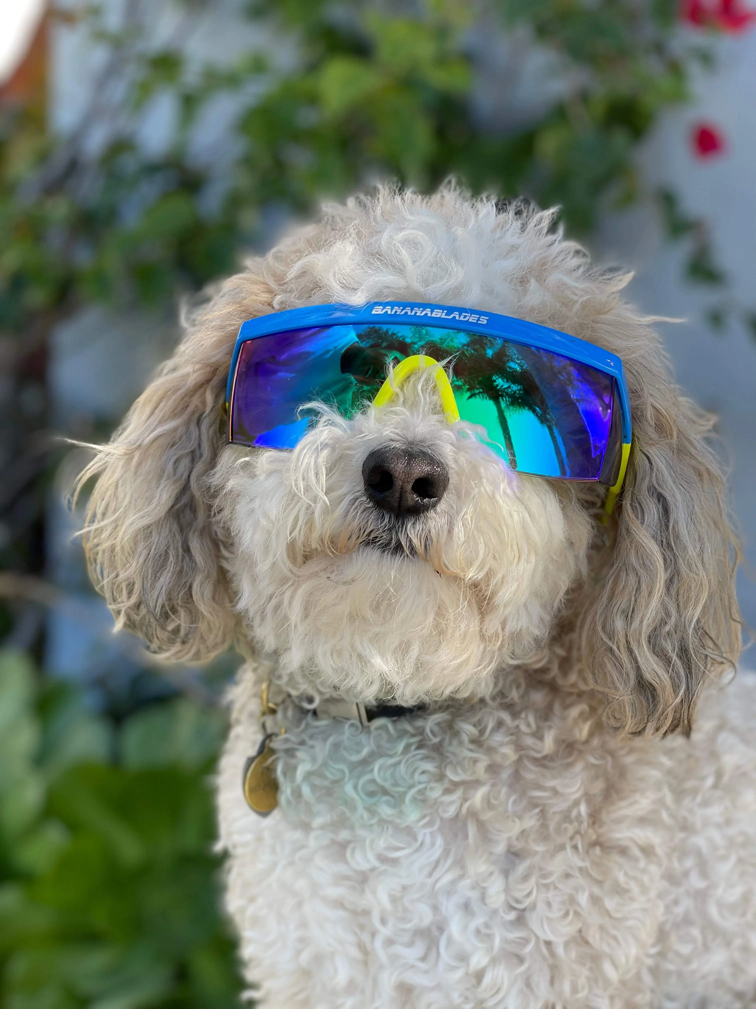 Blade Shades