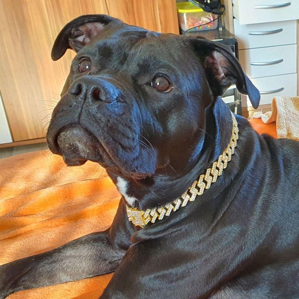 Luxury Dog Chain Collar with Diamonds