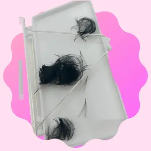 10D 0.03 Promade Fans (Box Of 500) Eyelash Extensions