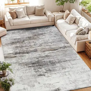 Modern Abstract Pattern Soft Fluffy Carpet, Non-Slip Water-Absorbent Washable Area Rug, Decorative Floor Mat for Home, Living Room and Bedroom, Contemporary Rugs, Modern Indoor Rug, Soft Thick Rugs